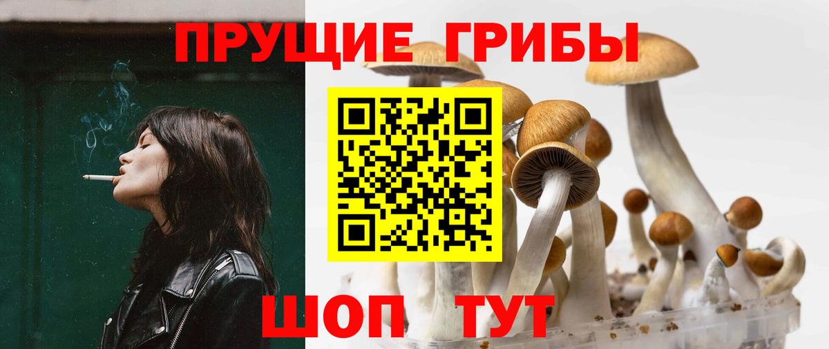 Фролово  Псилоцибиновые грибы Cubensis  Вход с VPN  Псилоцибиновые грибы ЛСД 